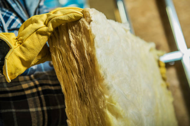 Best Insulation Removal  in North Bonneville, WA